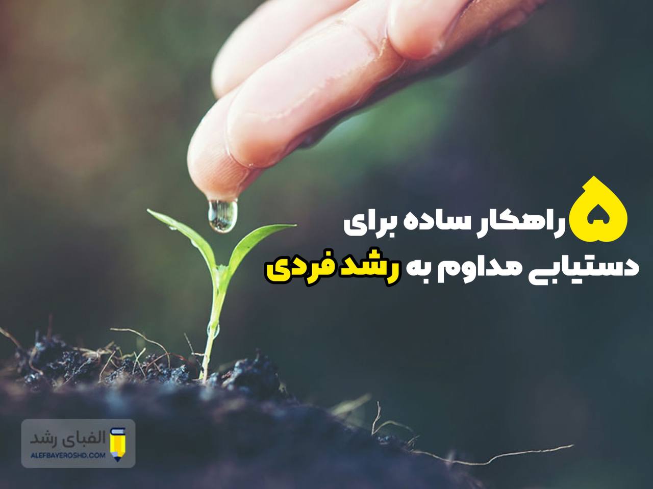 رشد فردی