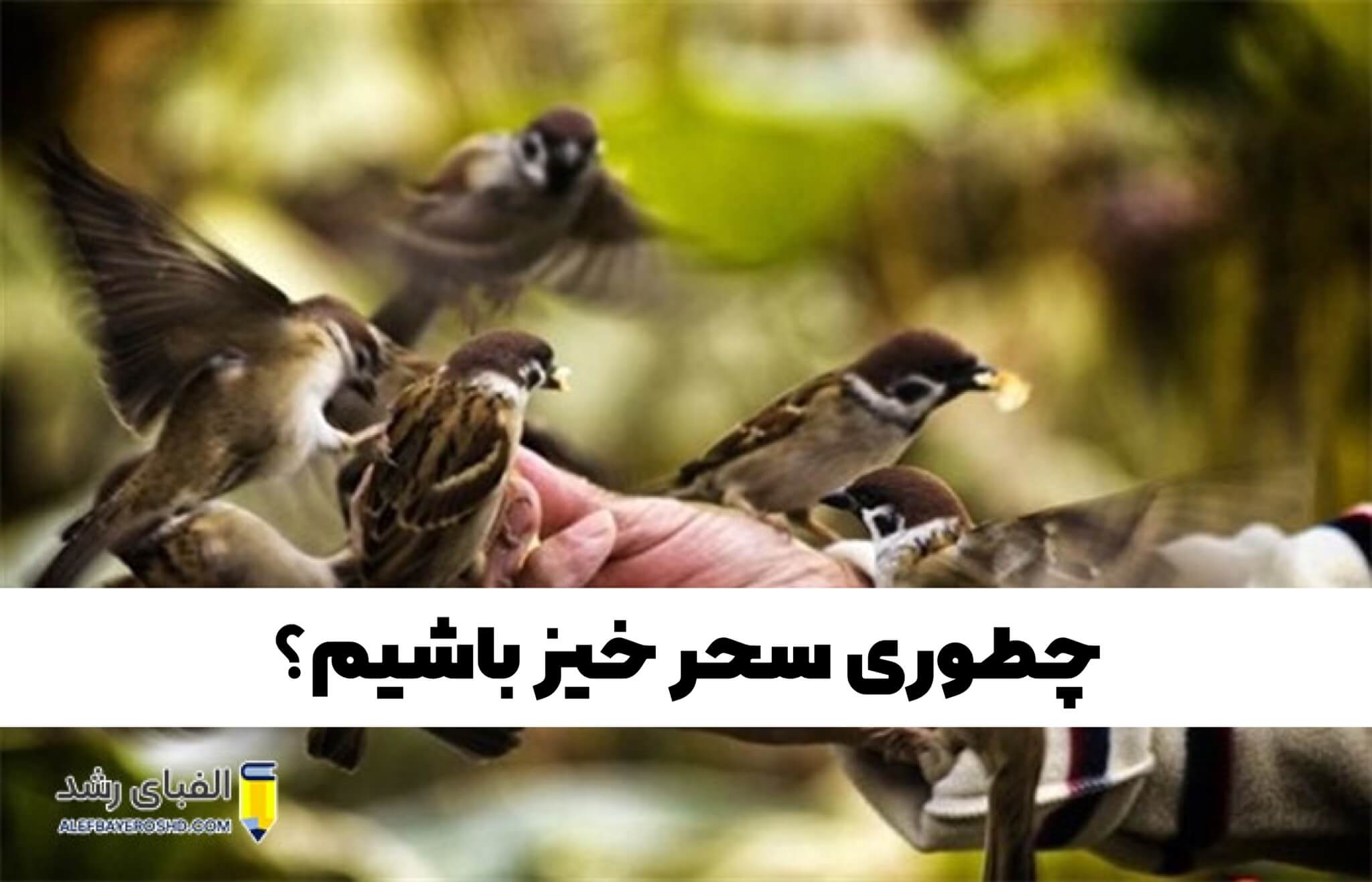 سحرخیزی و موفقیت